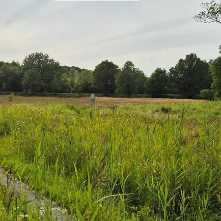 Prázdninový dům 4 Person In Hovborg-by Traum *