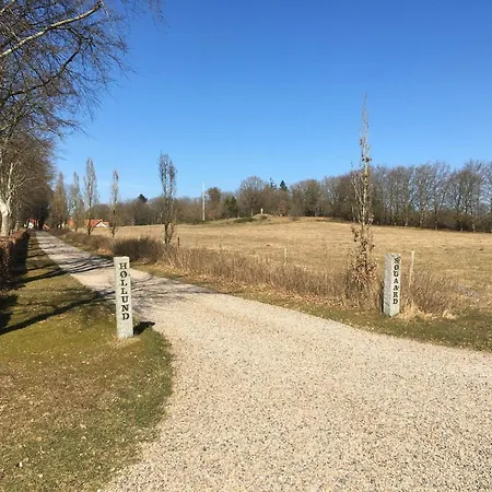 4 Person In Hovborg-by Traum * Hovborg