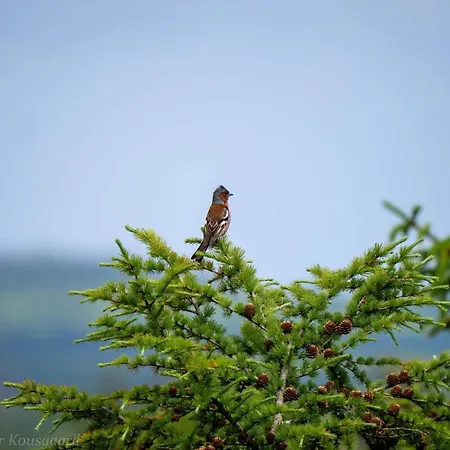 4 Person In Hovborg-by Traum Casa de Férias
