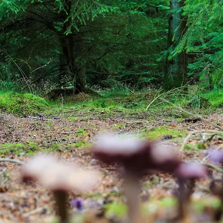 4 Person In Hovborg-by Traum