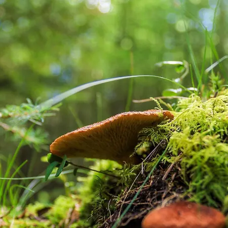 4 Person In Hovborg-by Traum