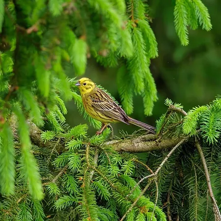 4 Person In Hovborg-by Traum Σπίτι διακοπών *