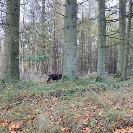 4 Person In Hovborg-by Traum Hovborg