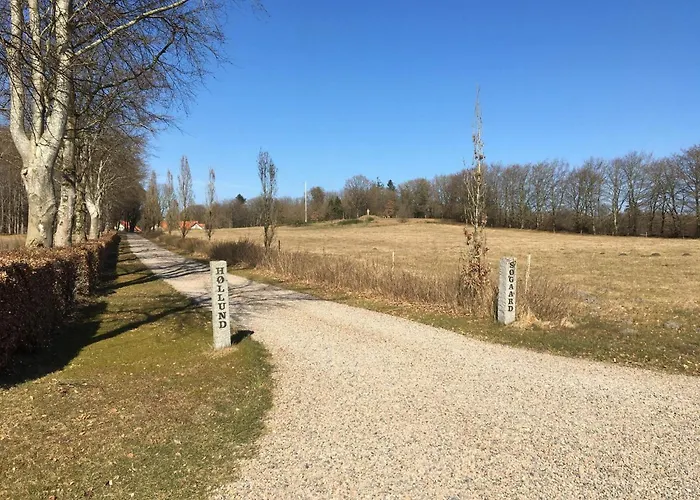 4 Person In Hovborg-by Traum * Hovborg