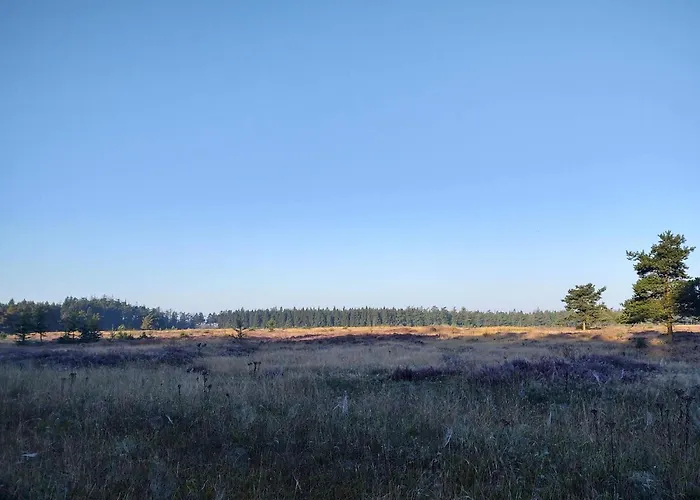 4 Person In Hovborg-by Traum *